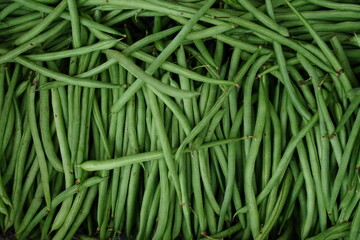 Fresh and green bean vegetables 
