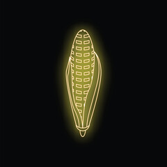 Glowing neon yellow corn on the cob is isolated on a black background
