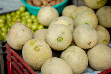 Muskmelon Fruit on market