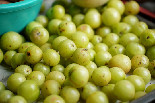 indian gooseberry healthy, organic, green, vitamin C, antioxidant, superfood, fruit
