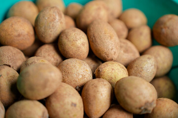 Sapota fruit commonly known as sapodilla, sapota, chikoo, chico, naseberry, or nispero