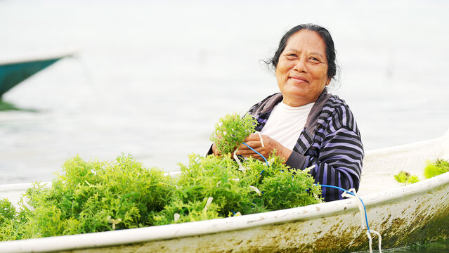 Portrait of smiling seaweed farmer in Nusa lembongan, Bali, Indonesia, on farm or plantation, traditional farming in rural southeast Asia