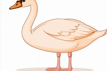 Pale Peach Swan Illustration on Light Brown Background