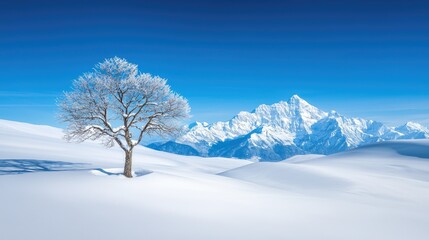 Lone tree winter snow mountain landscape, serene nature scene