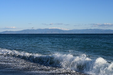 駿河湾の海岸（三保松原）