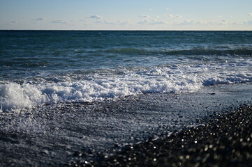 駿河湾の海岸（三保松原）