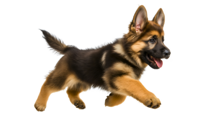 Playful Brown and Black Puppy Running Joyfully in Action with Fluffy Fur