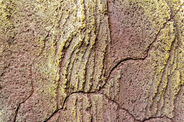 Rough Textured Plaster Cement Wall - Grunge Decorative Relief