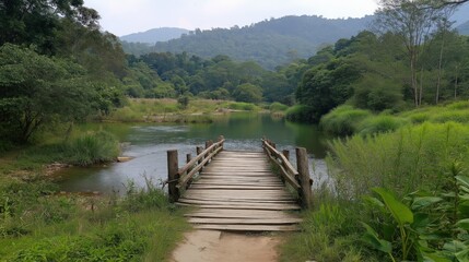 Fototapeta premium Rustic Wooden Bridge Over Calm Water Lush Green Vegetation