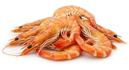 Fresh Cooked Shrimp Pile of Delicious Cooked Prawns Seafood Close up