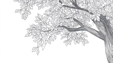Fototapeta premium Detailed tree branch illustration, white background, nature design, website banner