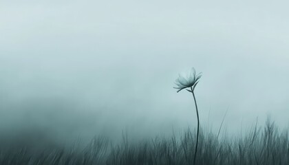 Obraz premium Solitary Flower in Misty Field