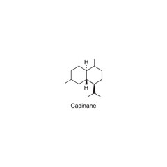 Cadinane skeletal structure.Sesquiterpene compound schematic illustration. Simple diagram, chemical structure.