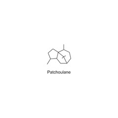 Patchoulane skeletal structure.Sesquiterpene compound schematic illustration. Simple diagram, chemical structure.