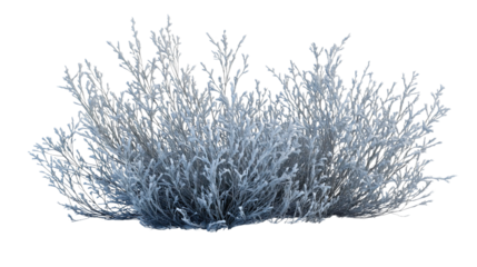 Vibrant Greenery and Resilient Foliage in a Sustainable Garden Landscape