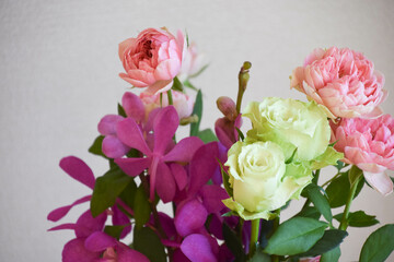 薔薇とアランダ