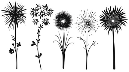 Obraz premium Abstract floral silhouettes, decorative plants, design elements, graphic illustration