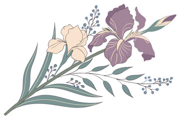  Watercolor iris bouquet, delicate botanical illustration, soft pastel colors, purple and peach irises, blue flower accents, green leaves and stems, detailed petals, elegant floral arrangement, white 