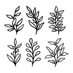 Fototapeta premium Set of leaves illustration vector