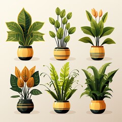 Beautiful Houseplants in Multiple Styles and Colors for Home Decor