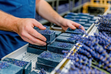 A close-up of a worker handling handmade lavender soap bars in a soap production facility. The dark blue artisanal soaps are decorated with dried lavender flowers, emphasizing their natural 