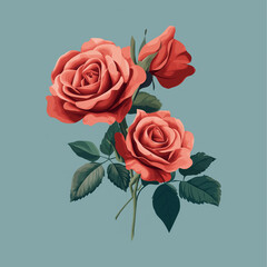 illustration of a rose