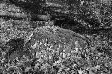 Wandern im Onsabrücker Land