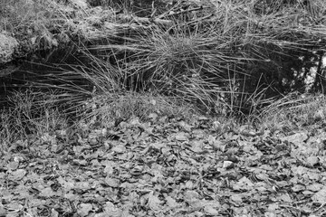 Wandern im Onsabrücker Land