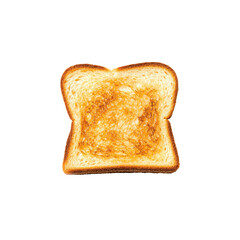 Freshly Toasted Slice of Bread with Golden Crisp Surface