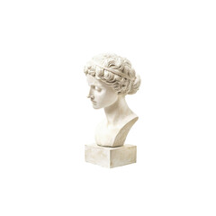 Fototapeta premium Elegant White Marble Bust of a Classical Female Figure with Wavy Hair