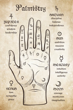 Palmistry or chiromancy hand with signs of the planets and zodiac signs hand drawn design isolated vector illustration.