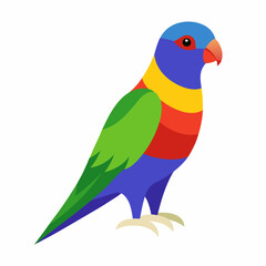 Rainbow Lorikeet vector on white background.