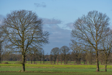Obraz premium Fürstenau im Onsabrücker Land