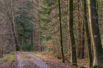 Fürstenau im Onsabrücker Land