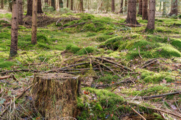 Fürstenau im Onsabrücker Land