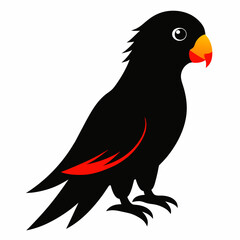  Lorikeet vector icon on white background.