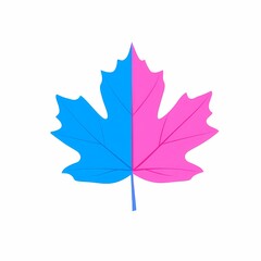 Obraz premium Abstract pink and blue maple leaf icon in modern design.