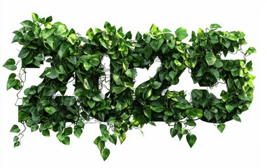 Obraz premium 2025 constructed from lush green leaves and vines, representing nature, isolated on a white background