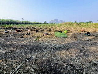 Daily living needs material utensils of migrated people who came far from their village to cut...