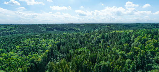 Obraz premium Sommer im schwäbischen Naturpark Westliche Wälder bei Augsburg