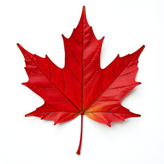 Canada Maple Leaf 