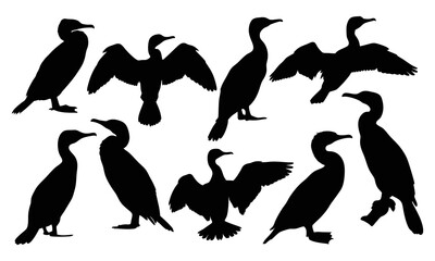 Set of cormorant black silhouette isolated on white background