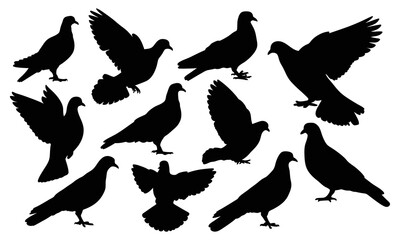 Set of dove birds silhouette illustration isolated on white background