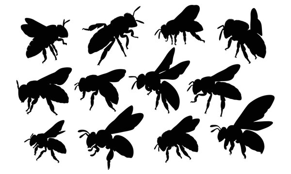 Set of bee silhouette illustration isolated on a white background