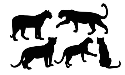 Set of Leopard silhouette illustration
