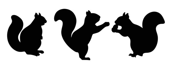 Squirrel silhouette isolated on a transparent background © Flyillustrations