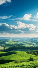 Obraz premium lush green field with scattered wildflowers blooming image