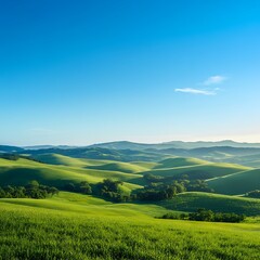 Obraz premium peaceful flower field with tree and open sky image