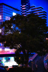 A tree stands in the city at night.