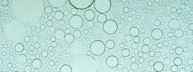 Macro microscope green bubble texture, Close-up Green bubbles and drops oil background . blue green water bubbles, close up golden oil drop for cosmetic...